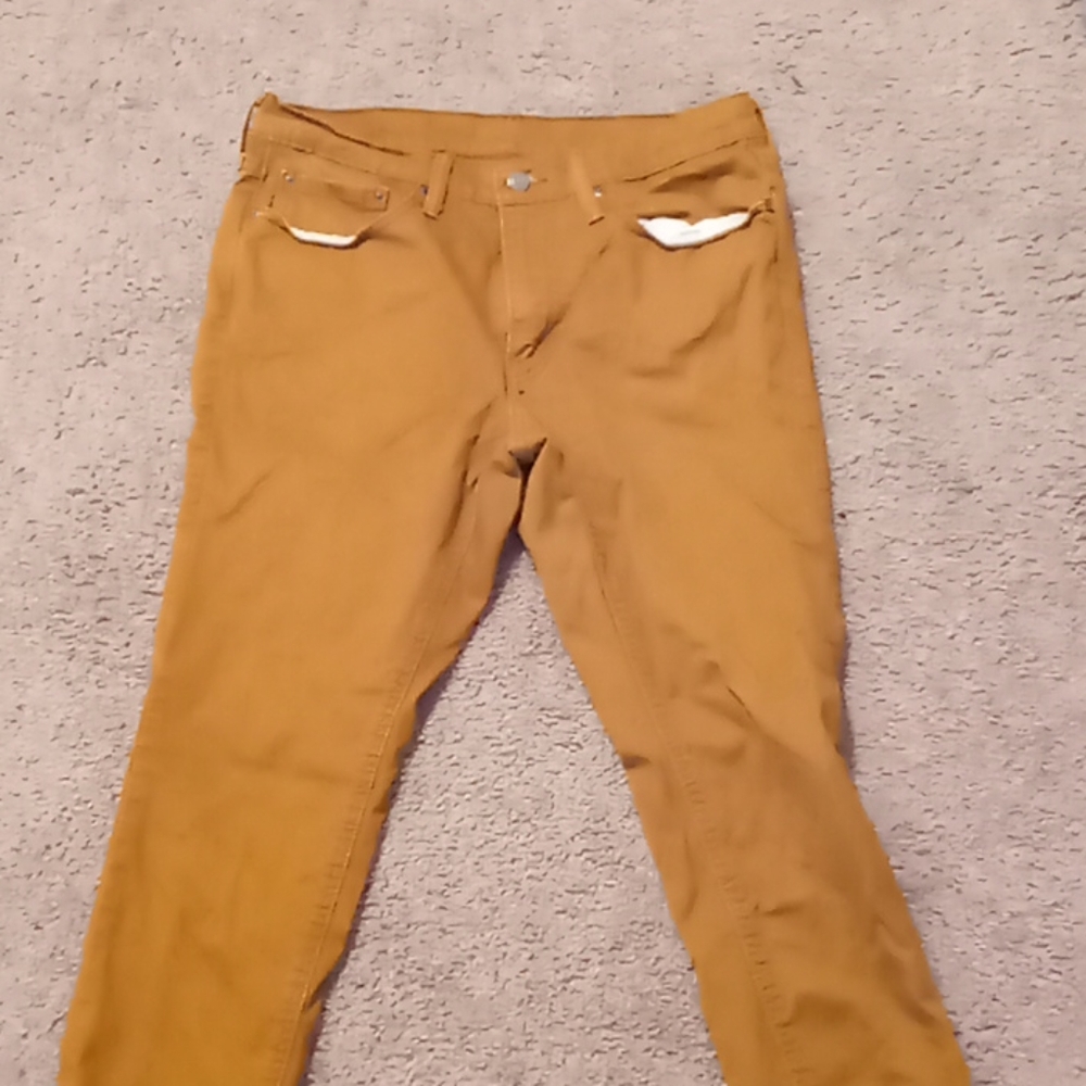 Levi. 541